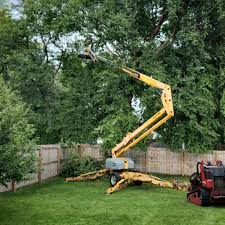 Lawn Irrigation Installation and Maintenance in Walnut Creek, OH